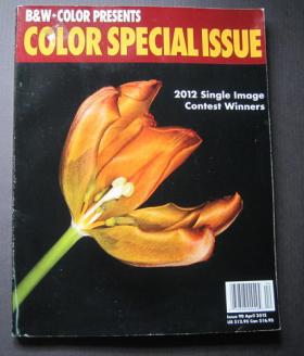 B&W+COLOR PRESENTS COLOR SPECIAL ISSUE