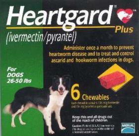 ขาย Heartgard PLUS สำหรับสุนัขหนัก 12 - 22 กก. - ป้องกันพยาธิหนอนหัวใจและถ่ายพยาธิภายใน