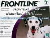 ขาย Frontline PLUS (ขายส่ง 10 กล่อง) สุนัขน้ำหนัก 21-40 กก.