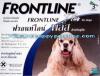 ขาย Frontline PLUS สำหรับสุนัข น้ำหนัก 11 - 20 กก. ยาหยดกำจ