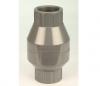 winwin pool Spring Check valve