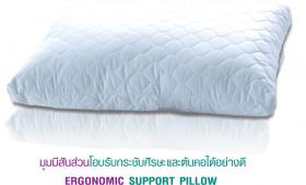 ขาย หมอนสุขภาพ Healthpilw Pillow F - Ergonomic Support Pillow