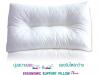 ขาย Healthpilw Pillow C - Ergonomic Support Pillow Plus