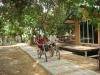 บ้านสวนสายน้ำ ที่พัก รีสอร์ท โฮมสเตย์ ที่ อัมพวา http://www.bannsuan-sainam.com