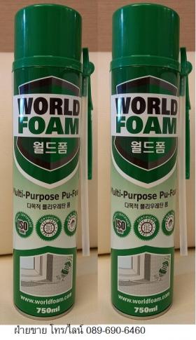สเปรย์โฟมอุดรอยรั่วเอนกประสงค์ World Foam Spray Foam