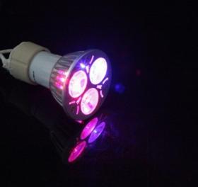 LED ปลูกดอกไม้ ต้นไม้ GU10 6W 2Red 1Blue LED Grow Light for Flowering Plant and hydroponics system