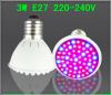 LED ปลูกต้นไม้ E27 60 LED Hydroponic LED Plant Grow Light RED BLUE 220v-240v