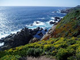 ให้คำปรึกษาการเที่ยวชมธรรมชาติในอเมริกา ฟรี