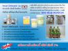 DISHWASH SERVICE -