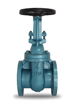 gate valve