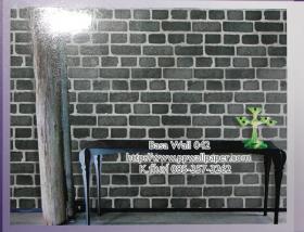 PPWALL-BASA042