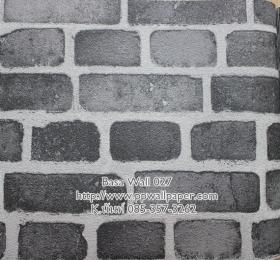 PPWALL-BASA027
