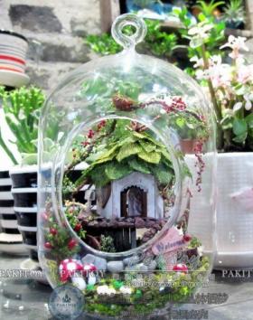 บ้านสวนในขวดแก้ว