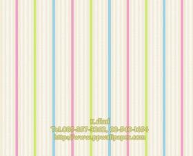 ขาย PPWALL ESPRIT 5-011
