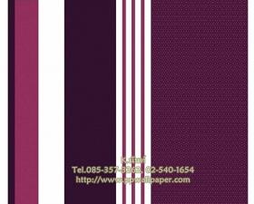 ขาย PPWALL ESPRIT 6-003