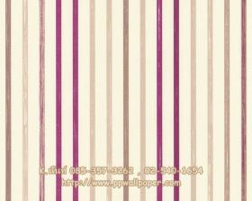 ขาย PPWALL ESPRIT 7-006