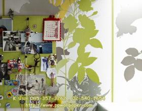 ขาย PPWALL ESPRIT 7-001