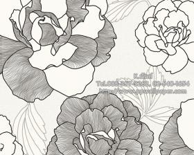 ขาย PPWALL ESPRIT 6-029