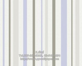 ขาย PPWALL ESPRIT 5-017