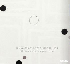 ขาย PPWALL SURPROFIL 047
