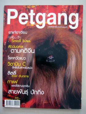 นิตยสาร Petgang ฉบับที่ 12 เดือนกุมภาพันธ์ 2546