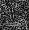 PPWALL PORALIS 023