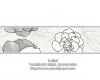 PPWALL ESPRIT 6-028