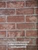 PPWALL BICHER 014