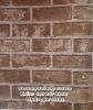 PPWALL BICHER 010
