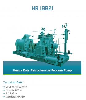 HR Heavy Duty Petrochemical Process Pump