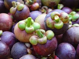 ขาย mangosteens mt01