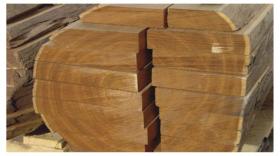 ขาย Teak