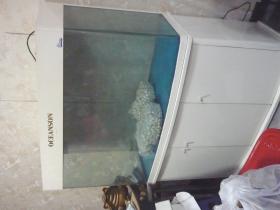 ขาย OCEANSON ตู้ปลา 48 นิ้ว