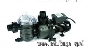 ขายปั้มสระว่ายน้ำราคาถูก Pentair Swimmey คุณภาพสูง