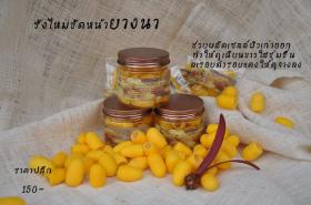 ขาย yangna รังไหมขัดหน้า