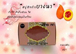 ขาย yangna สบู่ฟักข้าว