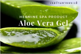 เจลว่านหางจระเข้ Aloe Vera Gel 1 กก.