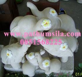 ครอบครัวช้าง Elephant family
