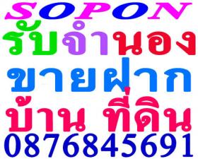 ขาย Jumnong-Bann-Teedin -