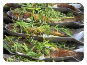 แปะซะปลาช่อนทอด