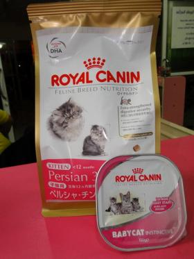 ขาย Royal canin สำหรับลูกแมวสายพันธุ์เปอร์เซีย 400  กรัม