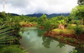 ขายด่วน! ที่ดินบนเกาะช้าง 5 ไร่ พร้อมเรือบ้านหลังงาม