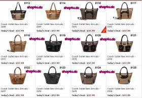 ขาย coach -