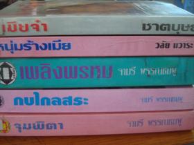 ขายนิยายรัก หวานชื่น