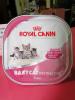 ขาย Royal canin อาหารสำหรับลูกแมวอย่านม - 4 เดือน/แม่แมว