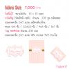 Mini Set