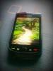 Blackberry Troch 9800 Troch 9800
