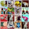 silk doll elephent VIP silk Grade A+รับผลิต 100 - 5000 ชิ้น ปัก logo