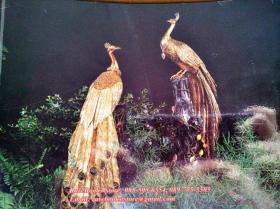 1985 Queen's Collection