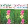 คุณปู่วัยซ่าส์คุณป้าวัยกวน (2 เล่ม) / กันยามาส